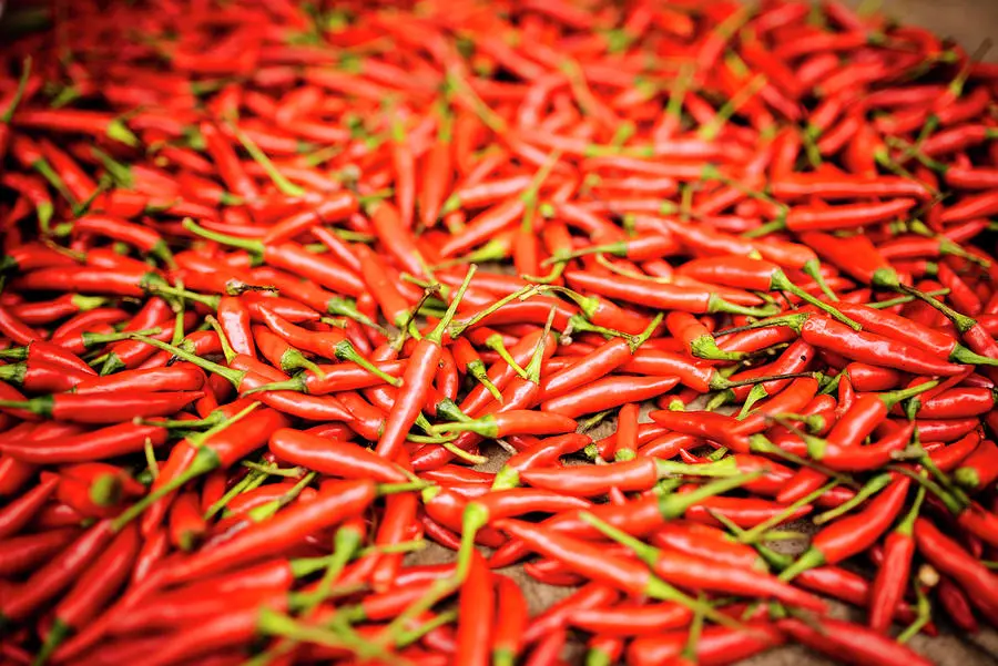 Red Organic chilies